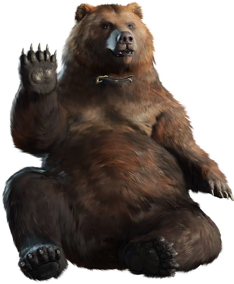 bear with sunglasses, cool style, urban look png